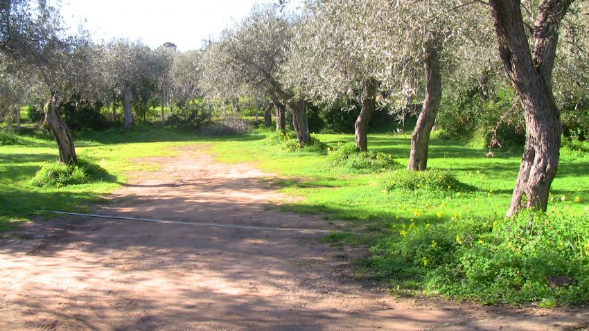 Il parcheggio